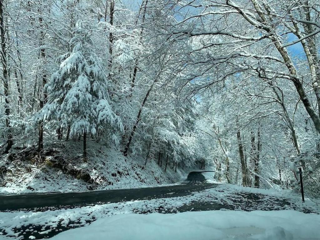 Cabin With Treehouse Views, 3 King Beds, 4 Bunks, And Large Hot Tub! Gatlinburg Exteriör bild